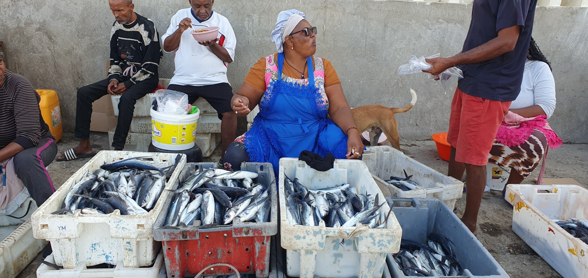 Pescadores servem peixe em caixas brancas; mulher de avental azul sentada, homem entrega comida, cachorro ao lado.