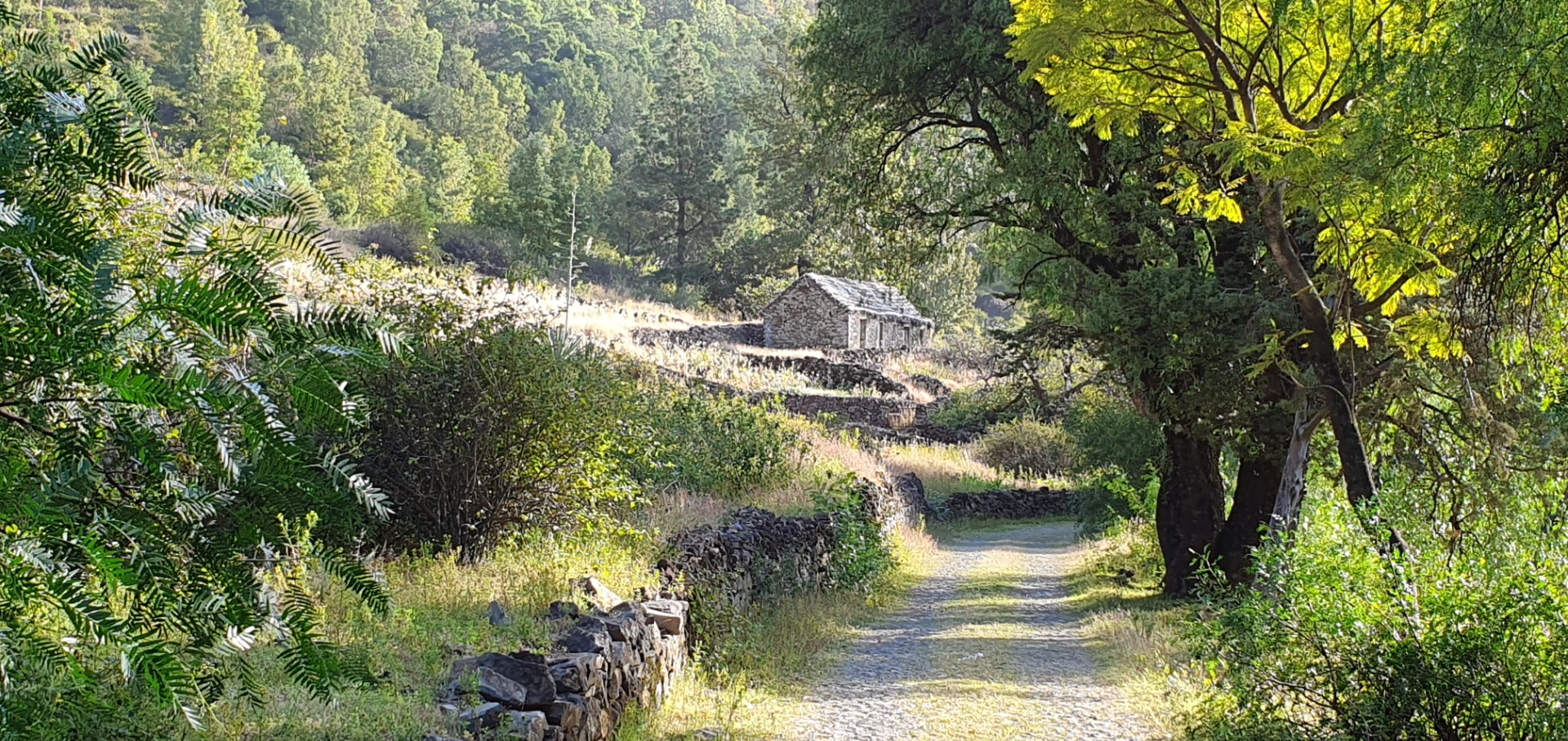 Casa de pedra em meio a campo verde, caminho de terra e floresta montanhosa ao fundo.