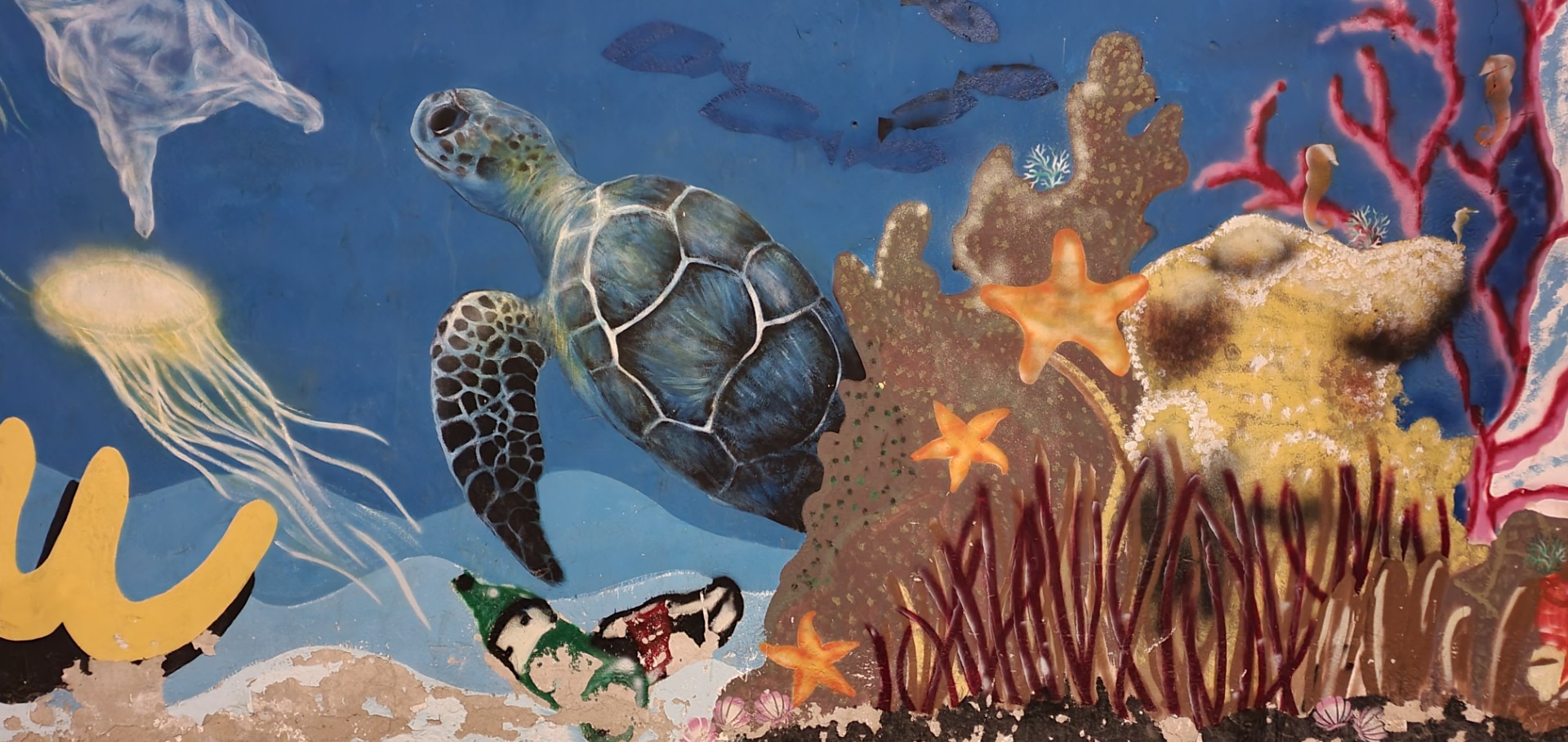 Sea turtle swimming past colorful coral, starfish, and jellyfish-like shapes in an underwater mural.