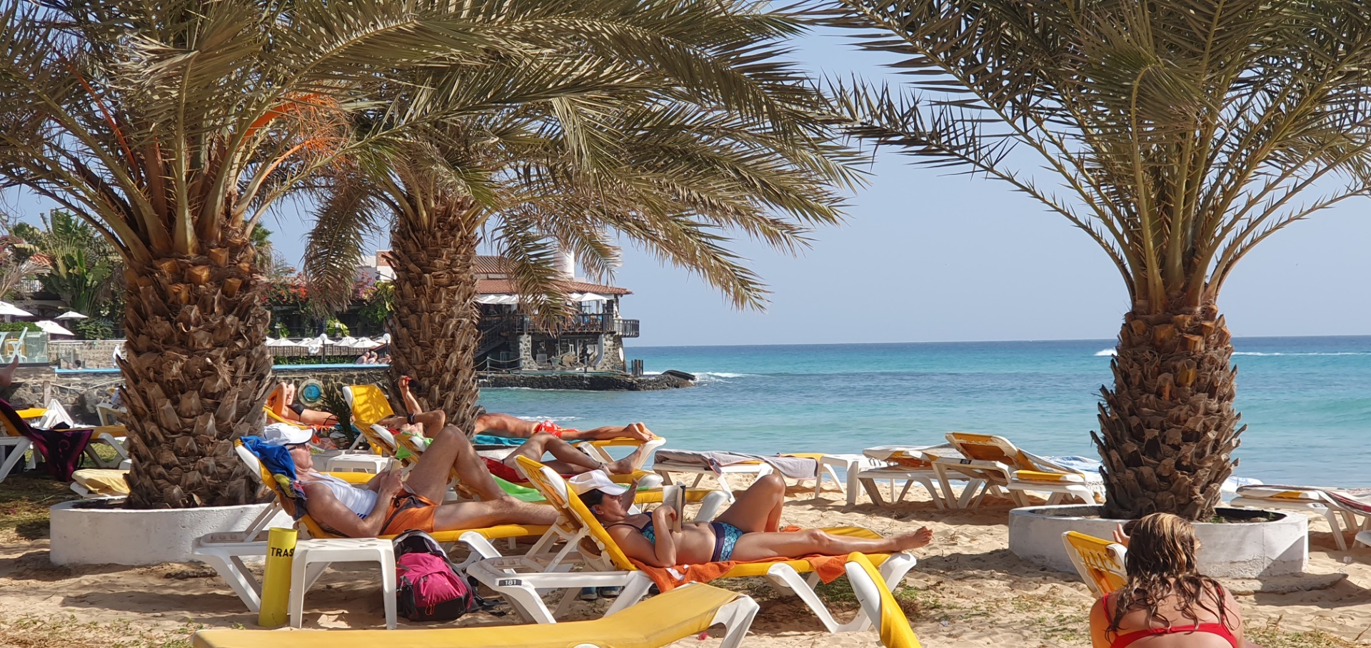 People relax on beach loungers under palm trees, with turquoise ocean and resort buildings in background.
