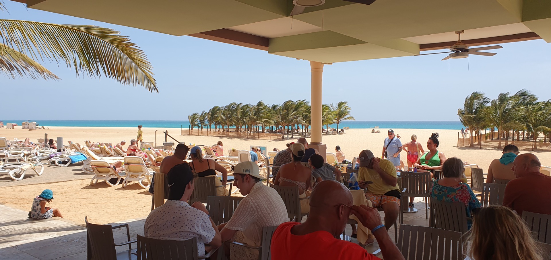 Beachside resort patio with people relaxing at tables, palm trees, and turquoise ocean in bright sunlight.