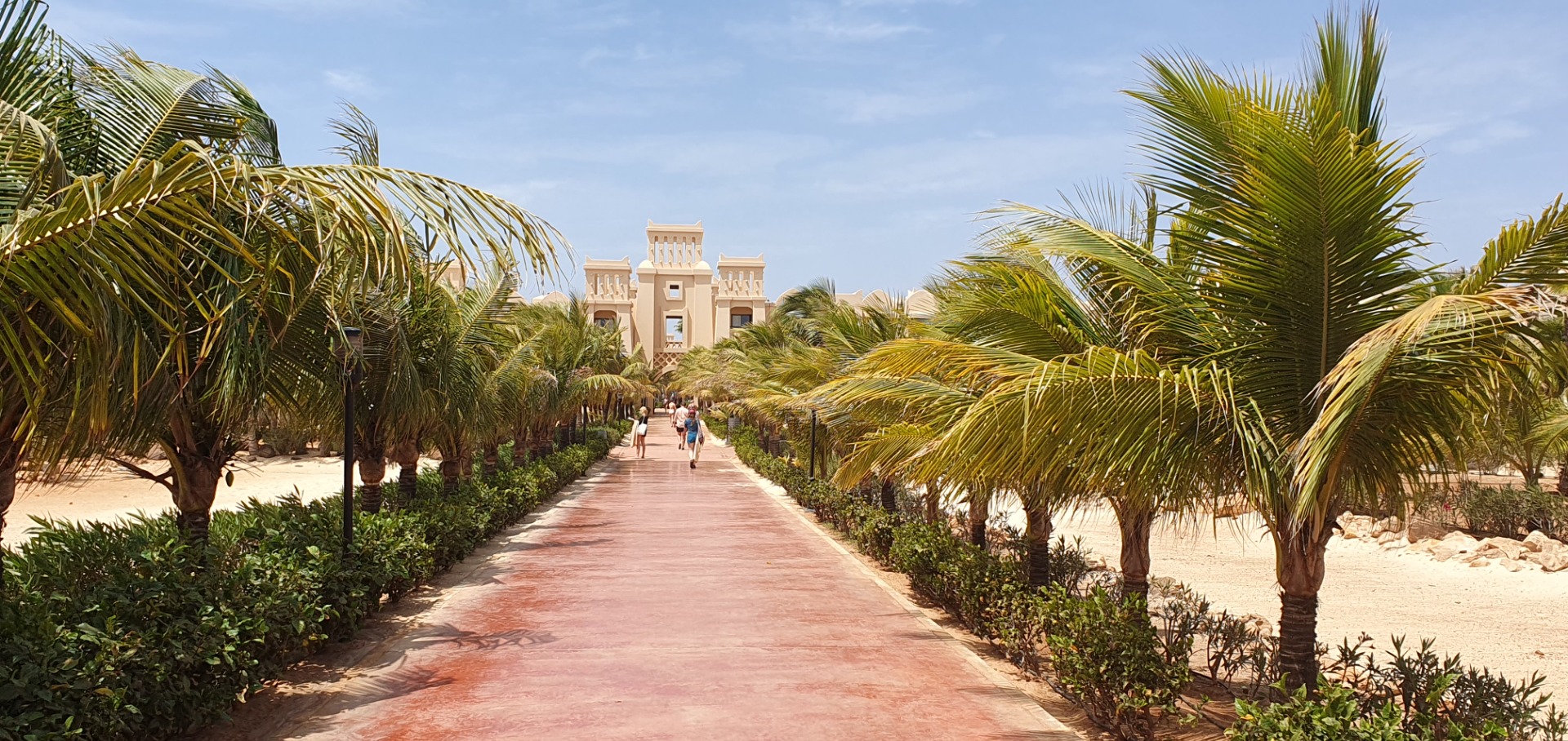Sunny resort walkway lined with palm trees leading to a cream-colored building with balconies.