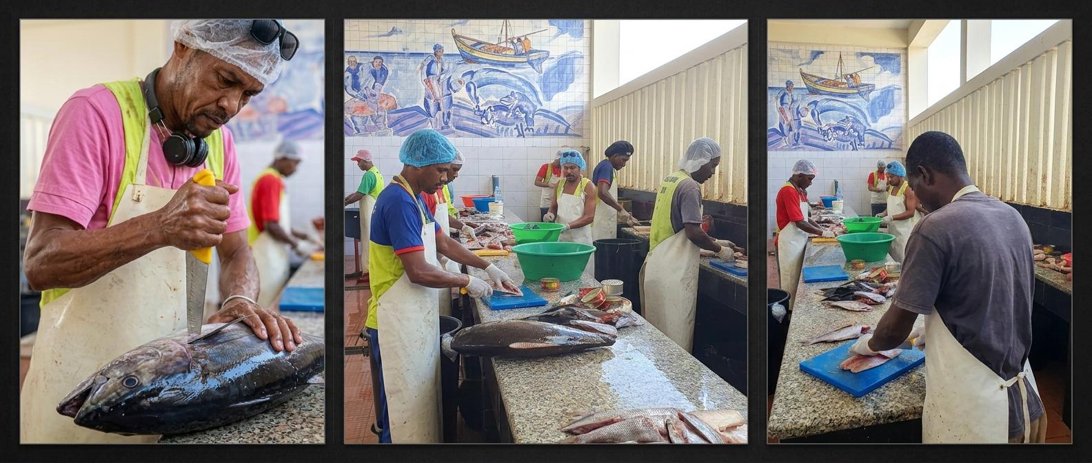 MIndelo Fish Market - Workers clean and prepare large fish on blue cutting boards inside a tiled processing room.