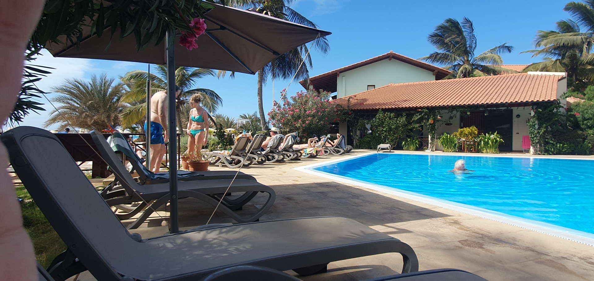 Sonniger Poolbereich mit Liegestühlen, Sonnenschirmen, Palmen und einer Frau im Bikini am Rand.