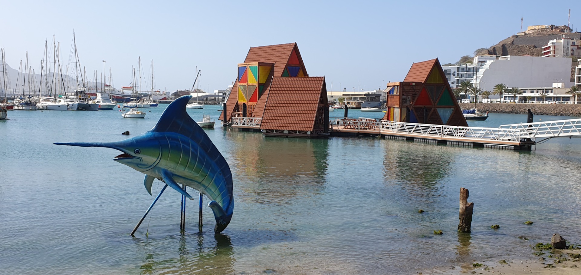 MIndelo - Sao Vicente -Cabo Verde- Blauer Hai-Deko im Hafenbecken vor bunten Bootshäusern, Segelboote und Küstengebäude im Hintergrund.